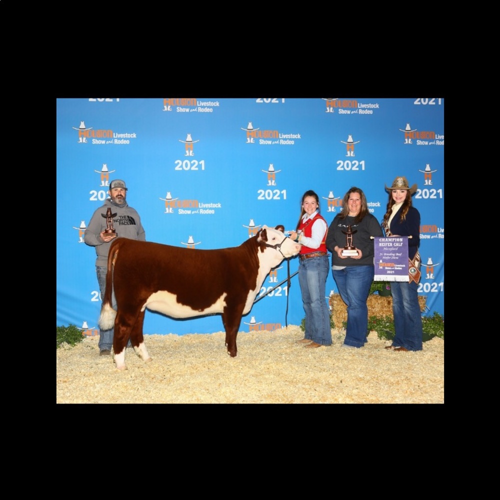 Meet your Posher, Karley